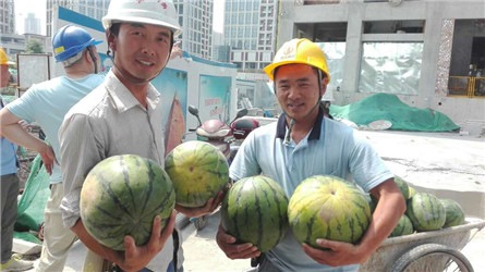 2000余名一線建筑工人領(lǐng)到了降暑“愛心西瓜”
