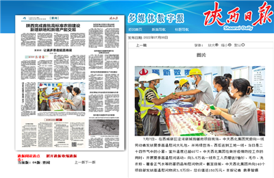 中天西北集團(tuán)瓏樾府項(xiàng)目高溫慰問——《陜西日?qǐng)?bào)》