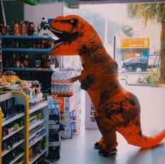 1582099853268761qpNH.jpg 恐龍.jpg